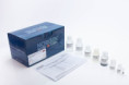 58800 Urine Exosome Purification and RNA Isolation Maxi Kit ( 15 preps )